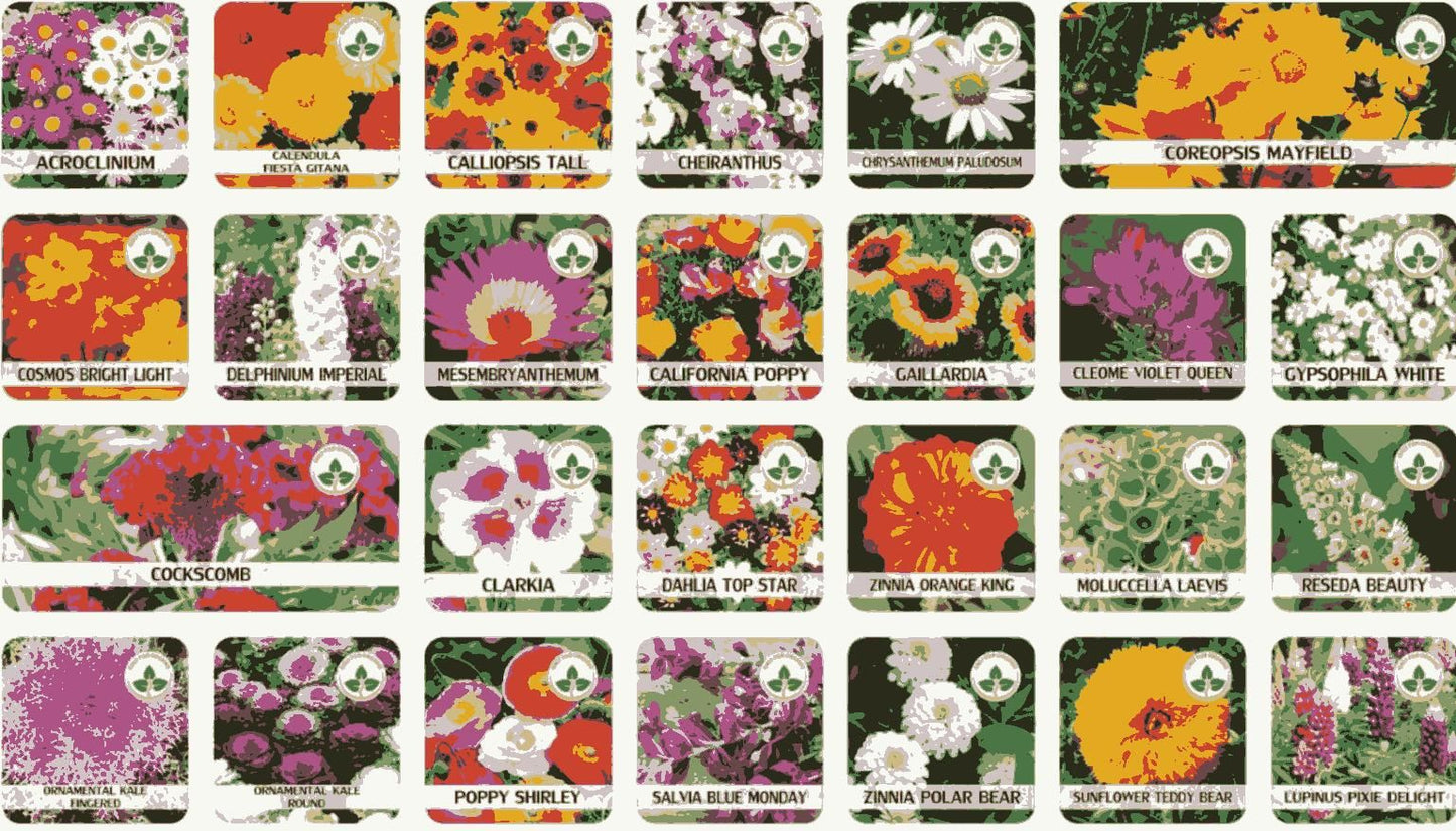 FloraFusions! (Pack of 100)